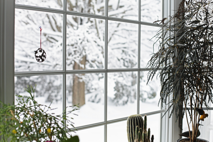 Widok przez okno na zimowy, ośnieżony ogród