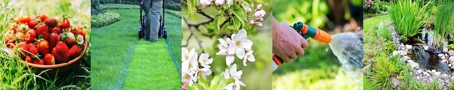 kalendarz ogrodnika - czerwiec