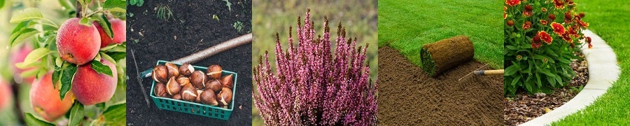 kalendarz ogrodnika - wrzesień